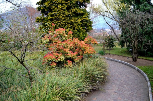 В ботаническом саду виллы Таранто (Giardini Botanici di Villa Taranto)