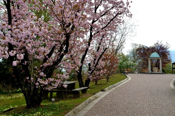 В ботаническом саду виллы Таранто (Giardini Botanici di Villa Taranto)