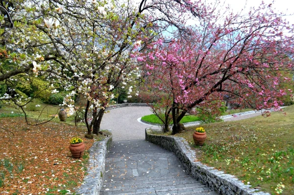 В ботаническом саду виллы Таранто (Giardini Botanici di Villa Taranto)