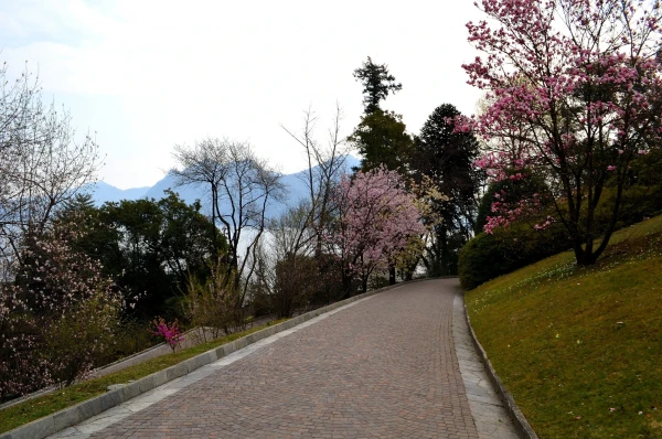 В ботаническом саду виллы Таранто (Giardini Botanici di Villa Taranto)