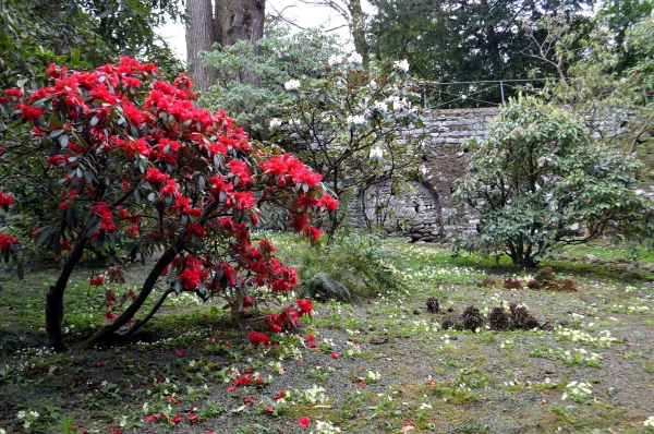 В ботаническом саду виллы Таранто (Giardini Botanici di Villa Taranto)
