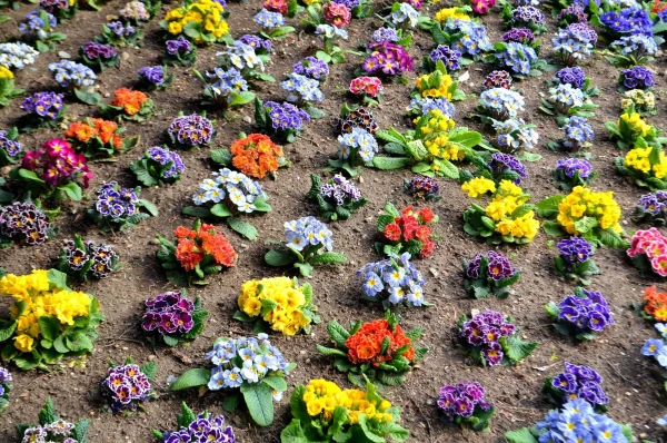 В ботаническом саду виллы Таранто (Giardini Botanici di Villa Taranto)
