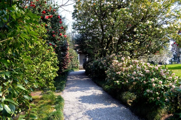 На острове Матери (Isola Madre). Piazzale Dei Peppagalli