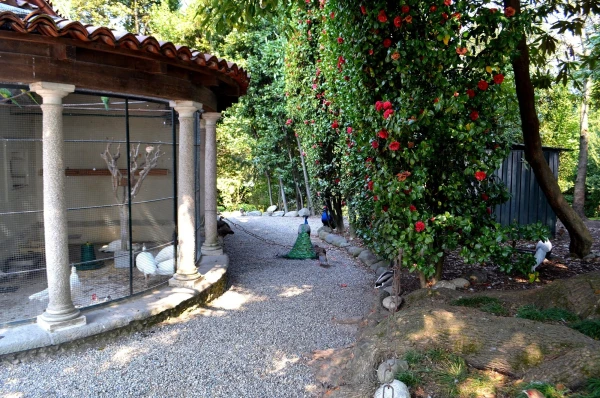 На острове Матери (Isola Madre). Piazzale Dei Peppagalli