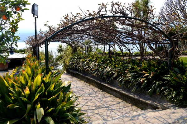 На острове Матери (Isola Madre). На Vialle delle Palme