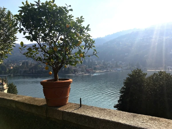 На Изола Белла (Isola Bella). В дворцовом парке