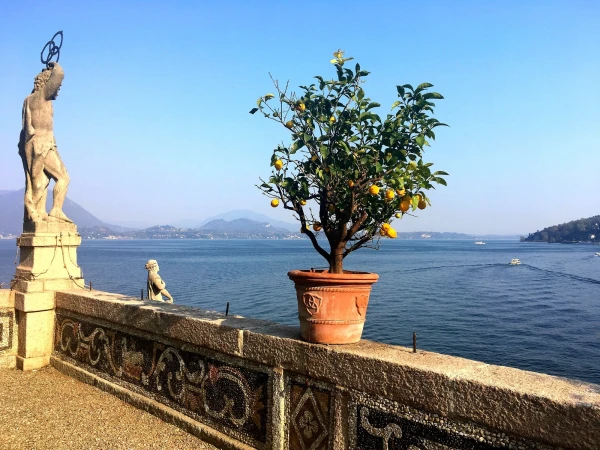На Изола Белла (Isola Bella). В дворцовом парке