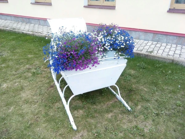 Цветочная палитра Вятского
