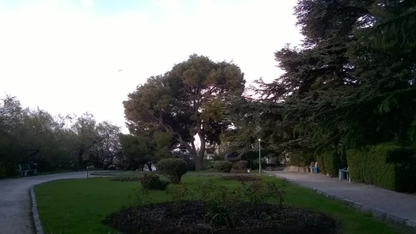 Мисхорский парк