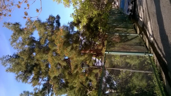 Мисхорский парк