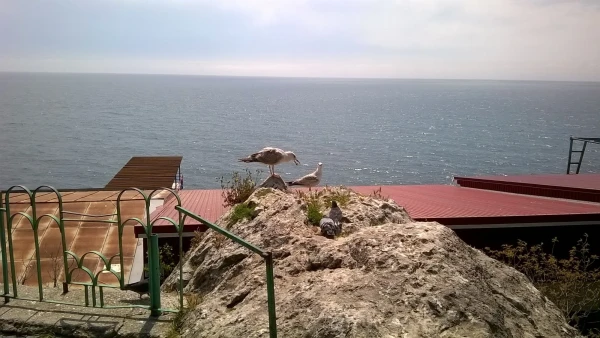 Мисхорский парк