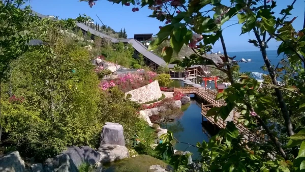 Сад камней