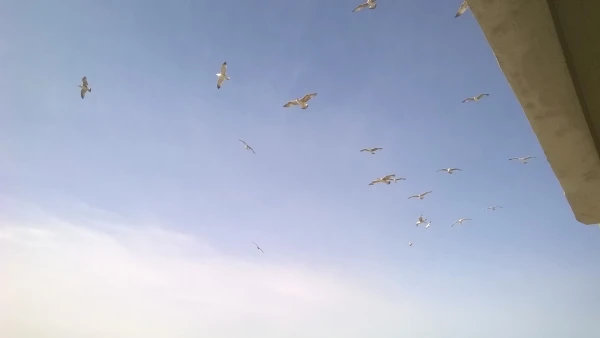Вид с нашего балкона