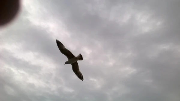 Вид с нашего балкона