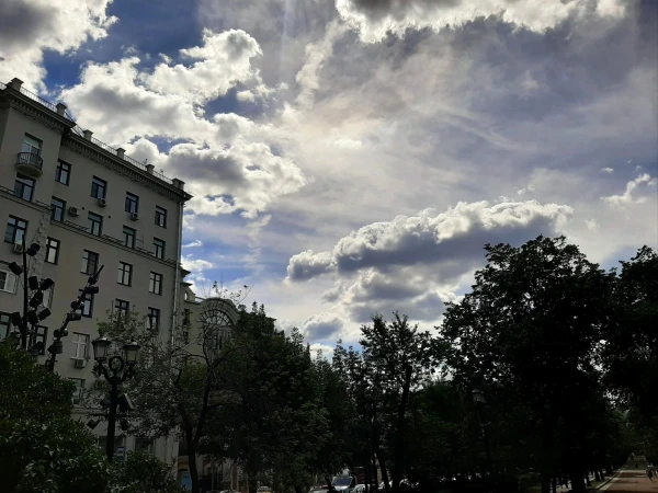В Новопушкинском сквере