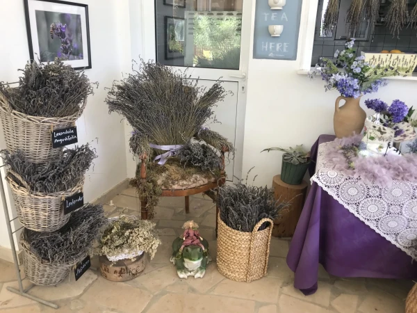 Cyherbia botanical park