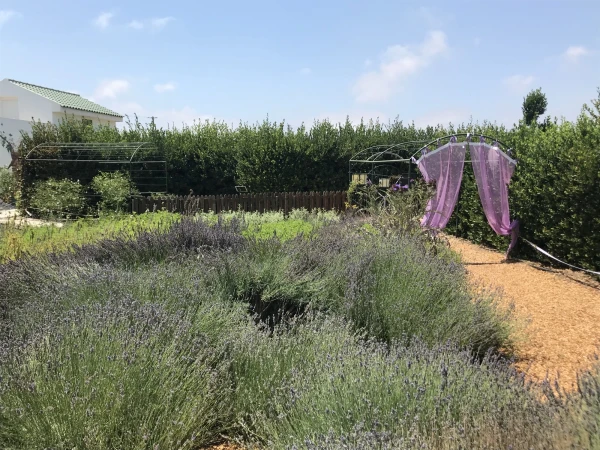 Cyherbia botanical park