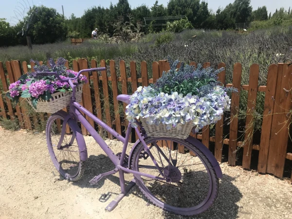 Cyherbia botanical park