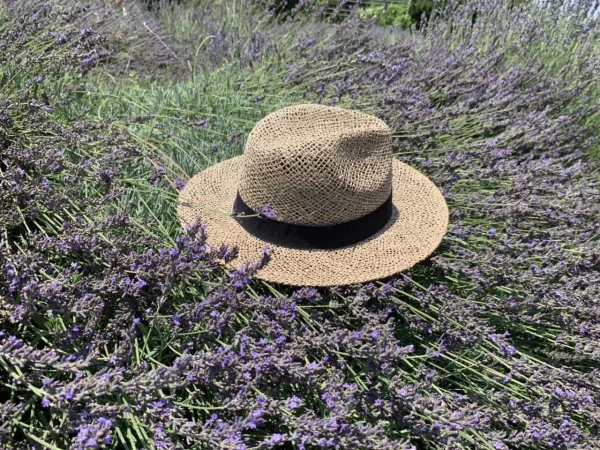 Cyherbia botanical park