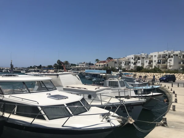Zygi port