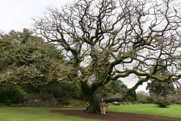 Muckross House