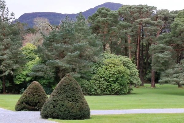 Muckross House