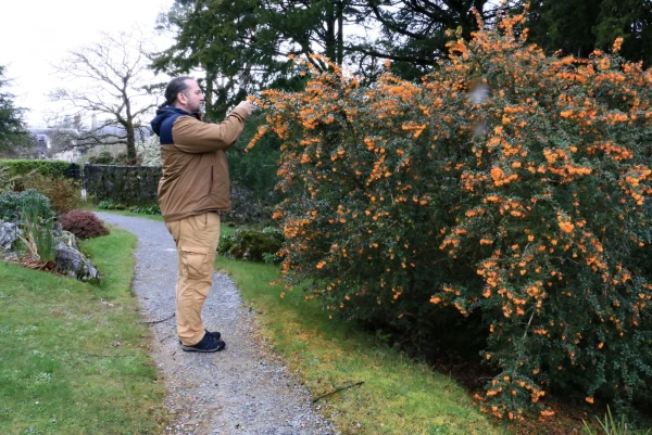 Muckross House