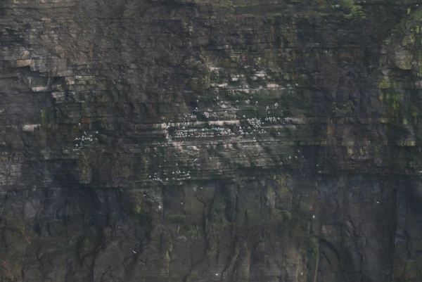 Cliffs of Moher Утесы Мохер