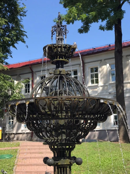 В сквере на пешеходной улице Суворова