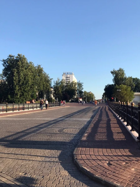 Пушкинский пешеходный мост