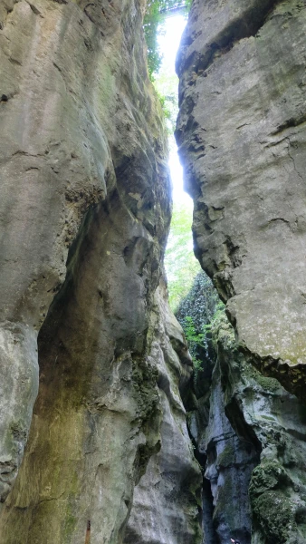 Ущелье реки Фьер (Gorges du Fier). Если приглядеться, в очертаниях скал можно разглядеть профили...