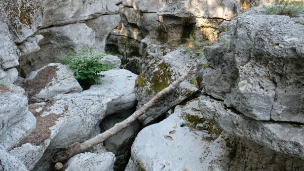 Ущелье реки Фьер (Gorges du Fier)