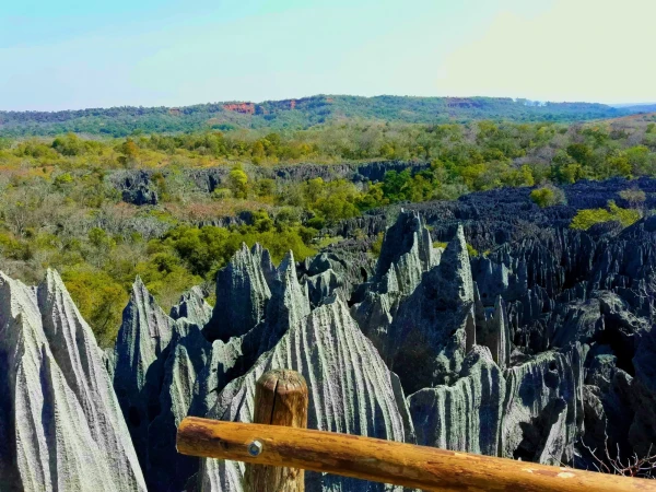 Нац.парк Tsingy de Bemaraha