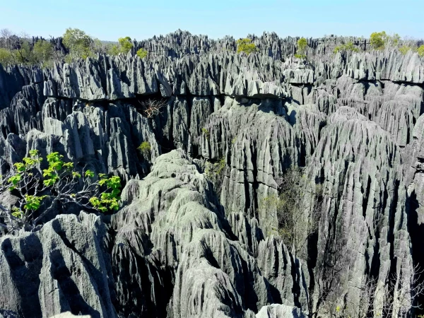 Нац.парк Tsingy de Bemaraha