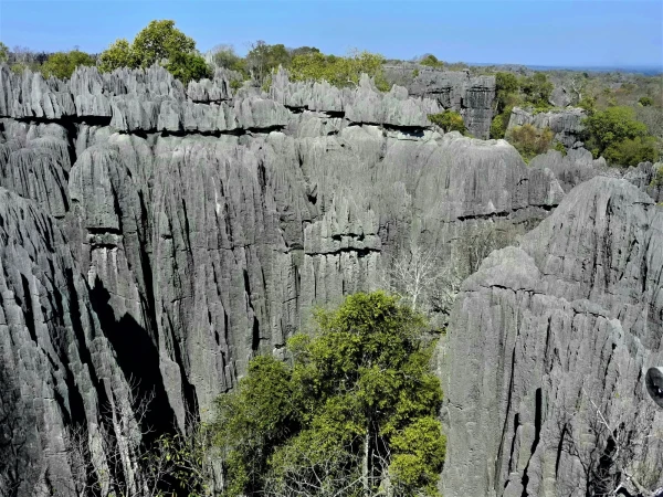 Нац.парк Tsingy de Bemaraha