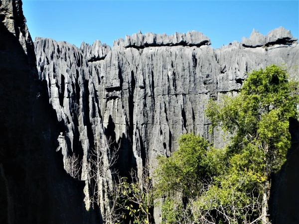Нац.парк Tsingy de Bemaraha