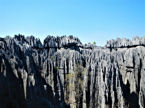Нац.парк Tsingy de Bemaraha