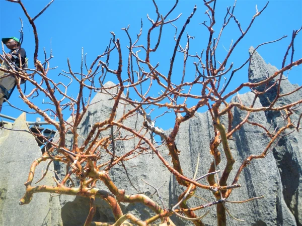 Нац.парк Tsingy de Bemaraha