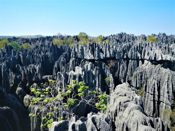 Нац.парк Tsingy de Bemaraha