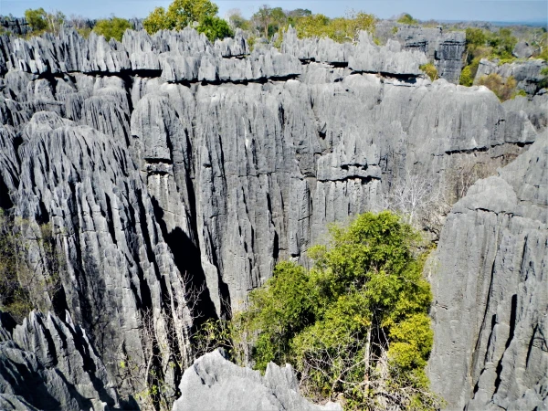 Нац.парк Tsingy de Bemaraha