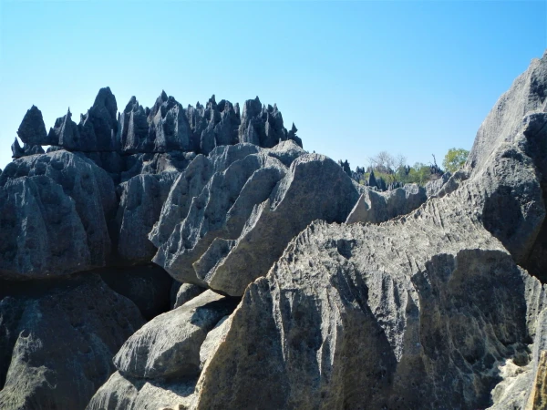 Нац.парк Tsingy de Bemaraha