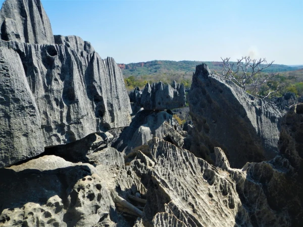 Нац.парк Tsingy de Bemaraha