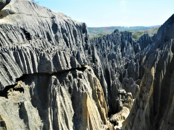 Нац.парк Tsingy de Bemaraha