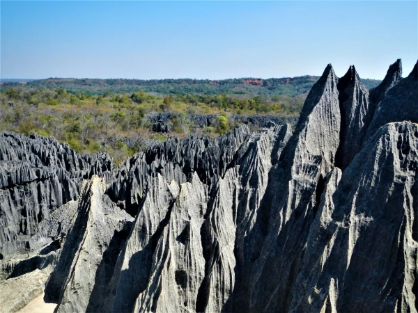 Нац.парк Tsingy de Bemaraha
