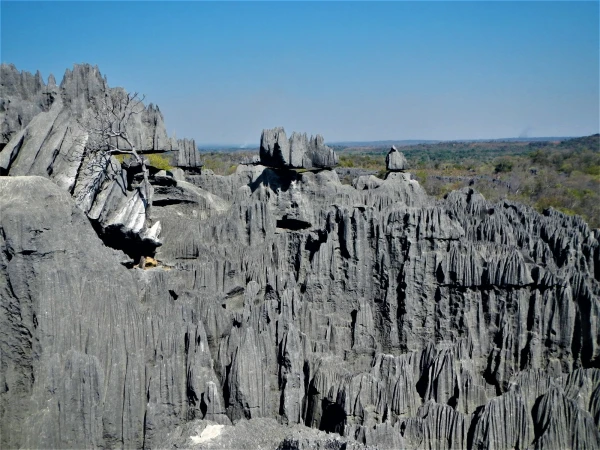 Нац.парк Tsingy de Bemaraha