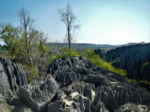 Нац.парк Tsingy de Bemaraha