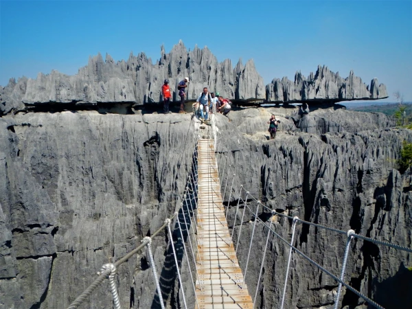 Подвесной мост. Нац.парк Tsingy de Bemaraha