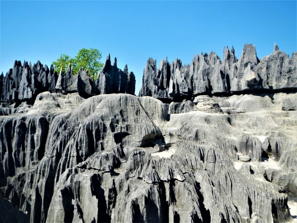 Нац.парк Tsingy de Bemaraha
