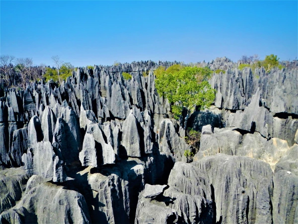 Нац.парк Tsingy de Bemaraha