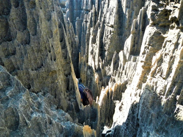 Вот такими лабиринтами мы шли  . Нац.парк Tsingy de Bemaraha